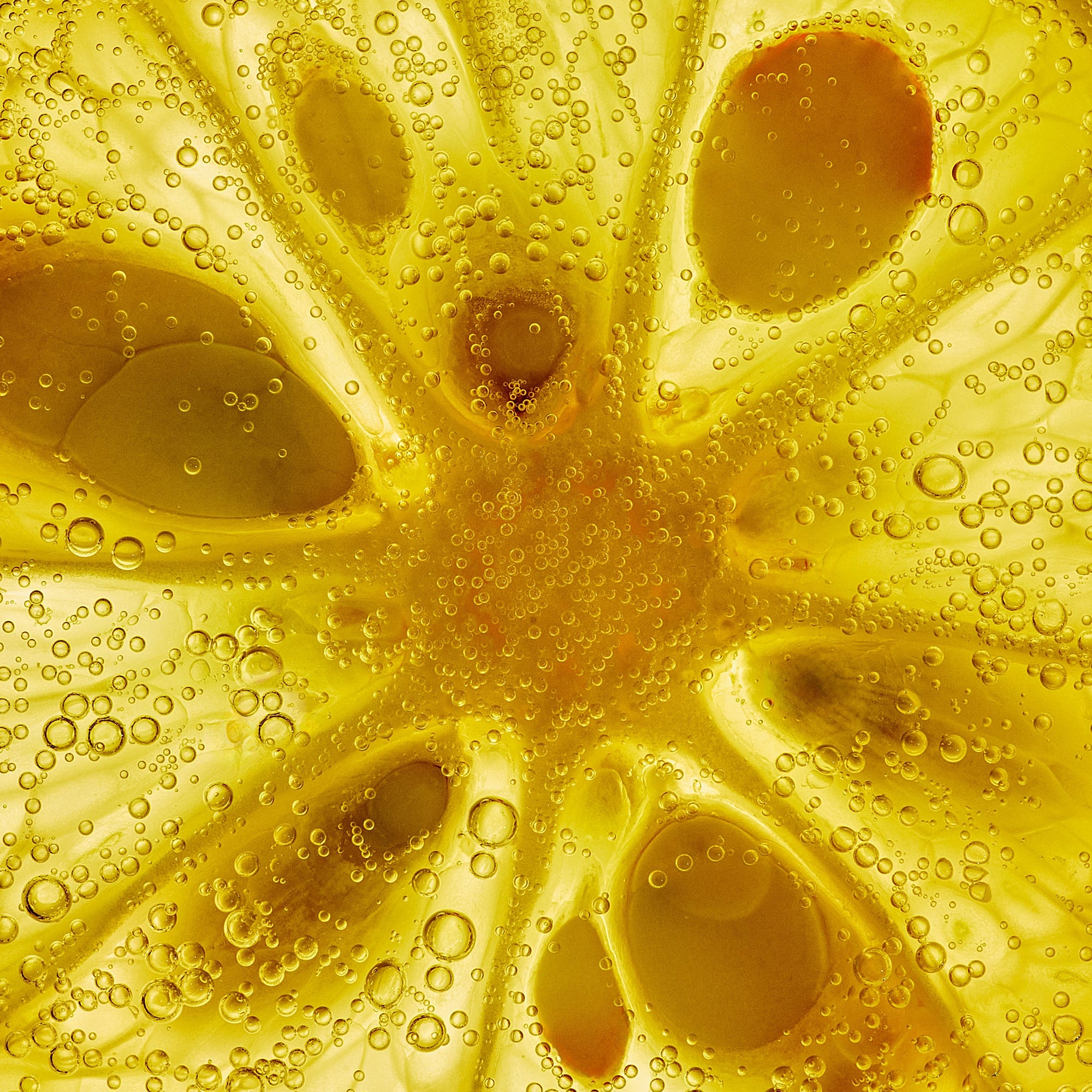 MULL IT OVER: BEÑO - Rum, Yuzu, Coconut Water.